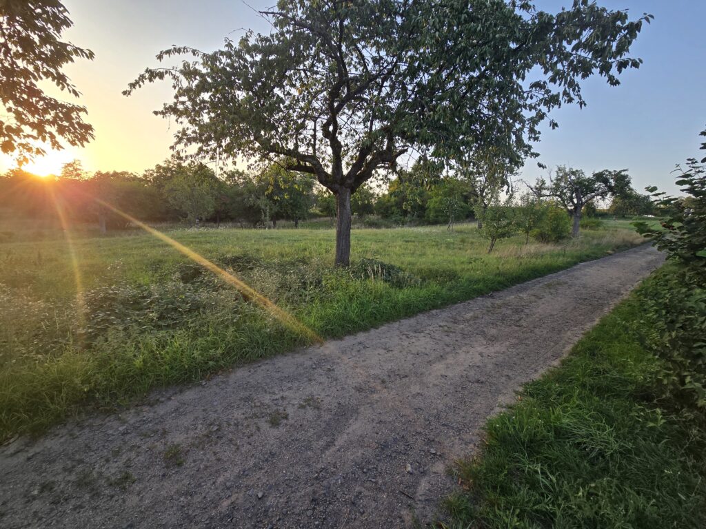 1.Einladungsphase gestartet